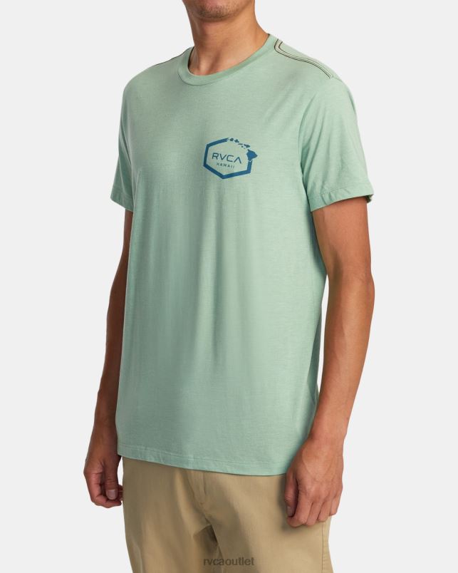 Clothing V84B133 green haze RVCA Men Hawaii Hex Tee