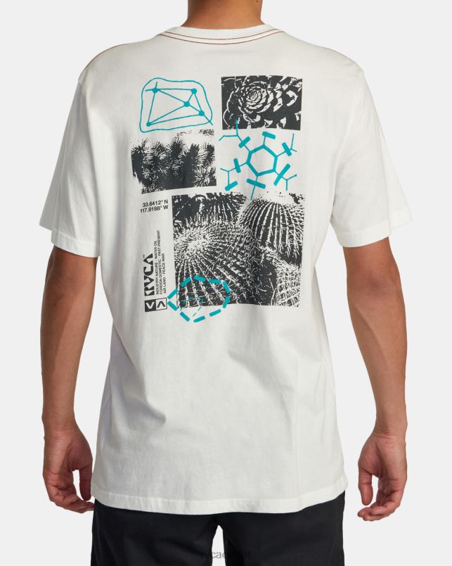 Clothing V84B183 antique white RVCA Men Ethnobotony Tee