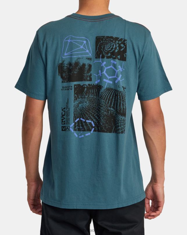 Clothing V84B203 duck blue RVCA Men Ethnobotony Tee