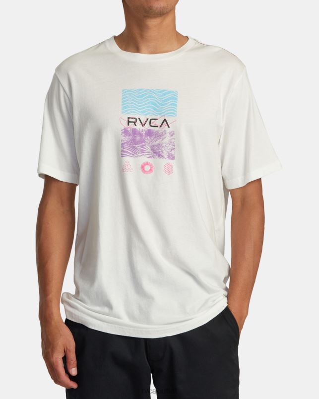 Clothing V84B3 antique white RVCA Men Radio Fauna Tee