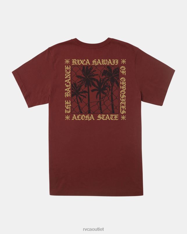 Clothing V84B454 red earth RVCA Men Aloha Fence T-Shirt