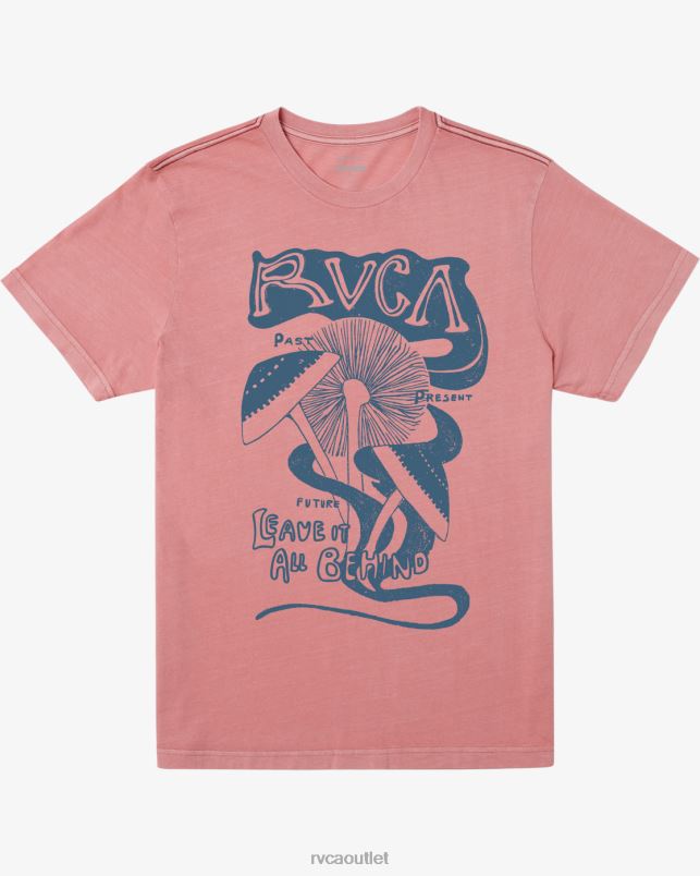 Clothing V84B471 flamingo RVCA Men Leave Behind T-Shirt