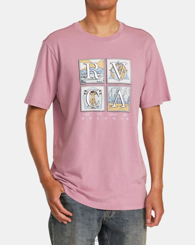 Clothing V84B986 lavender RVCA Men Natural T-Shirt
