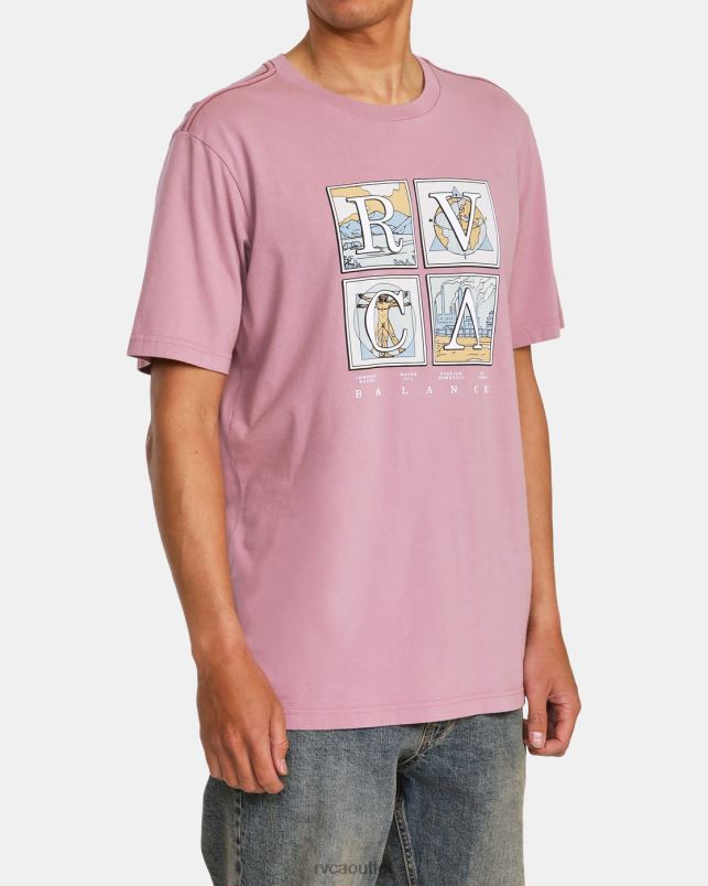 Clothing V84B986 lavender RVCA Men Natural T-Shirt